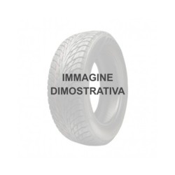 205/55 R16 91 V Tbb Tires Fortezza As