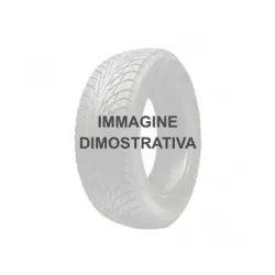 205/50 R17 93 W Massimo Ottima P1